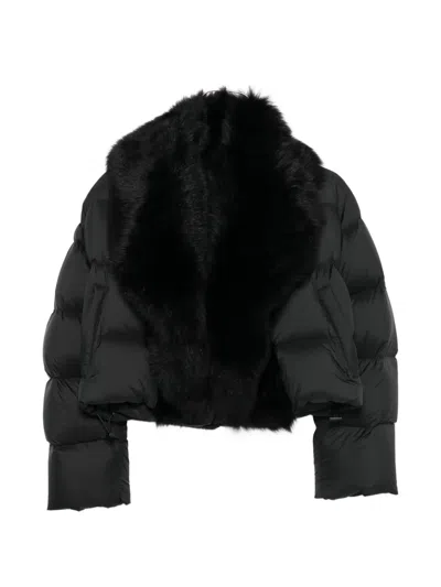 Gucci Shearling-collar Puffer Jacket In Black