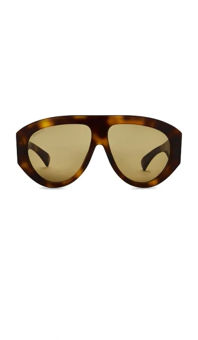 Gucci Signoria Pilot Sunglasses In Brown