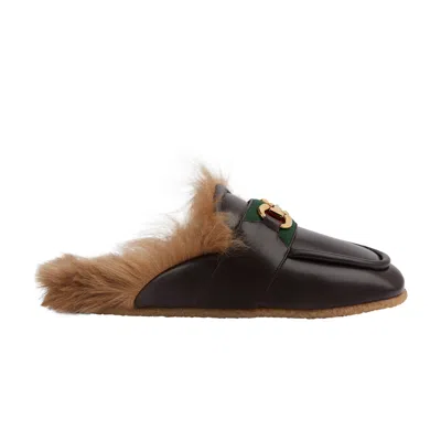 Pre-owned Gucci Slipper 'horsebit - Cocoa' In Brown