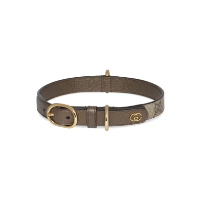Gucci Small/medium Pet Collar In Beige