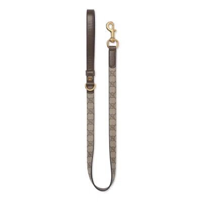 Gucci Small/medium Pet Leash In Beige