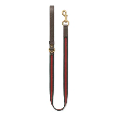 Gucci Small/medium Pet Leash In Brown