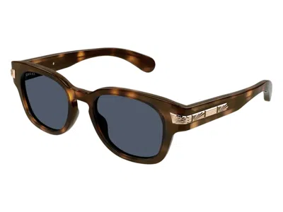 Pre-owned Gucci Square Sunglasses In Havana Blue (gg1518s/002/fr)