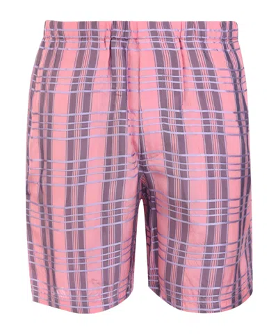 Gucci Straight-leg Shorts In Pink