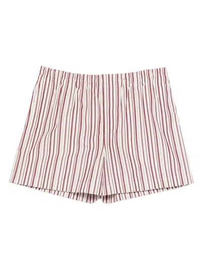 Gucci Striped Cotton Shorts In Neutral