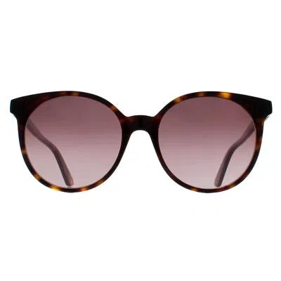 Pre-owned Gucci Sunglasses Gg0488s 002 Dark Havana Brown Gradient
