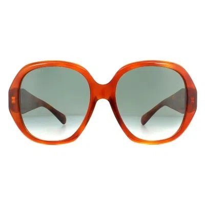 Pre-owned Gucci Sunglasses Gg0796s 003 Havana Blue Gradient In Gray
