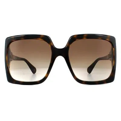 Pre-owned Gucci Sunglasses Gg0876s 002 Dark Havana Brown Gradient