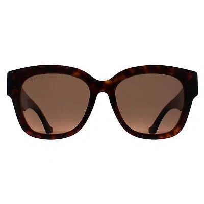 Pre-owned Gucci Sunglasses Gg1550sk 002 Havana Brown