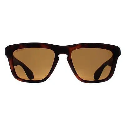 Pre-owned Gucci Sunglasses Gg1571s 002 Havana Brown