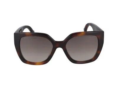 Gucci Sunglasses In Havana Crystal Brown