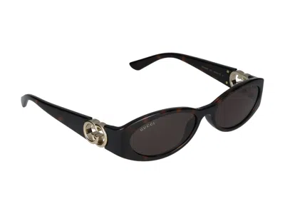 Gucci Sunglasses In Havana Havana Brown