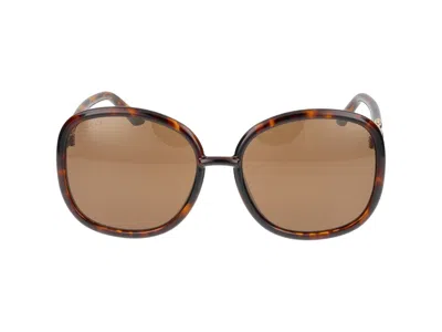 Gucci Sunglasses In Havana Havana Brown