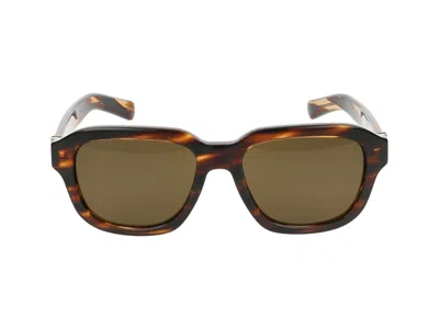 Gucci Sunglasses In Havana Havana Brown