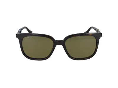 Gucci Sunglasses In Havana Havana Green