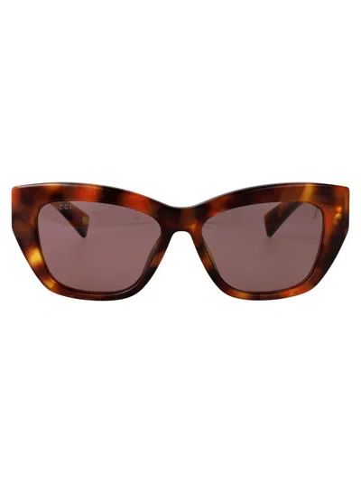 Gucci Sunglasses In Havana-havana-violet