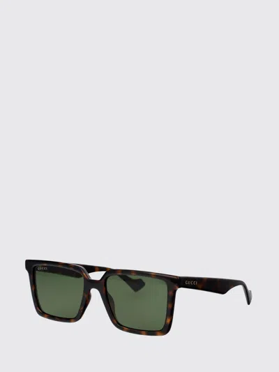 Gucci Havana Havana Green Acetate Sunglasses In Brown
