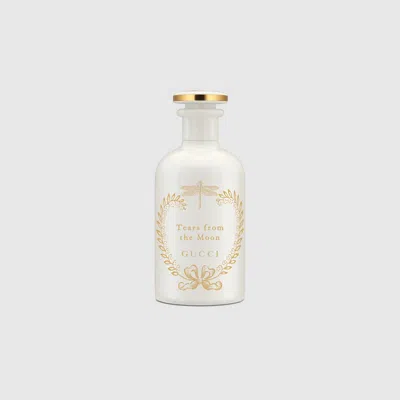 Gucci The Alchemist's Garden In Transparent
