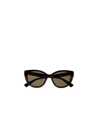 Gucci Tortoiseshell Cat-eye Sunglasses In Black