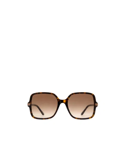 Gucci Brown Gradient Square Ladies Sunglasses Gg1448sa 002 59