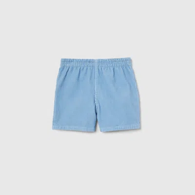 Gucci Babies' Velvet Corduroy Shorts In Blue