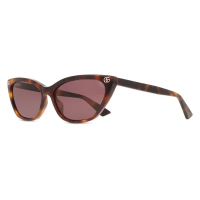 Gucci Violet Cat Eye Ladies Sunglasses Gg1815s 002 58 In Burgundy