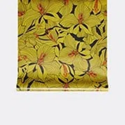 Gucci Wallpapers Black In Black, Printed