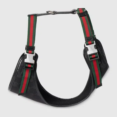 Gucci Wattiertes Geschirr Für Kleine/mittelgrosse Haustiere In Black