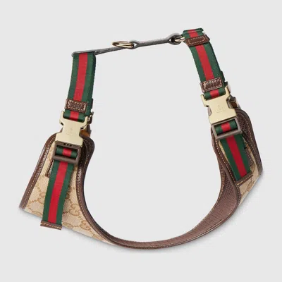 Gucci Wattiertes Geschirr Für Kleine/mittelgrosse Haustiere In Sand