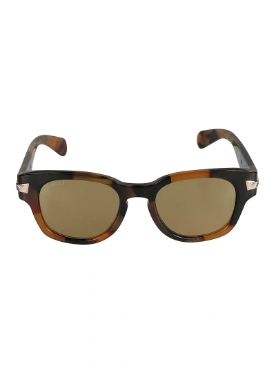 Gucci Wayfarer Classic Sunglasses In Brown