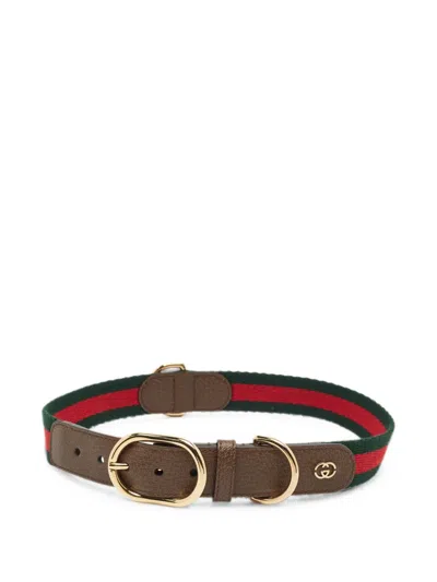 Pre-owned Gucci Web Demetra 皮质宠物项圈 In 褐色