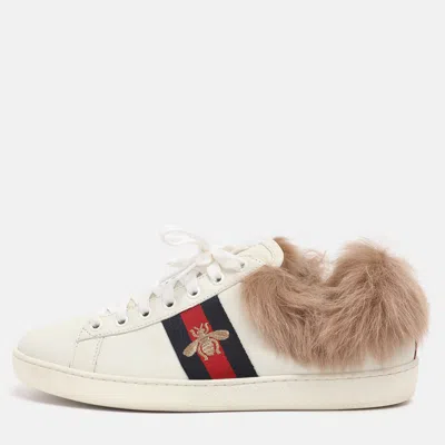Pre-owned Gucci White Leather Fur Lined Ace Low Top Sneakers Size 38