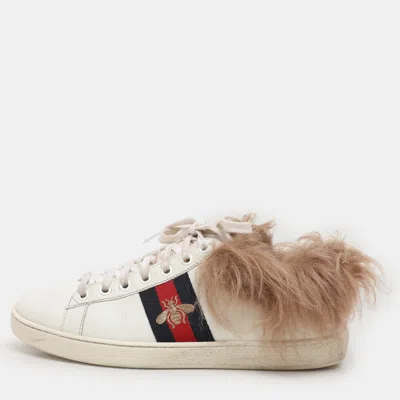 Pre-owned Gucci White Leather Fur Lined Bee Embroidered Web Ace Low Top Sneakers Size 37.5
