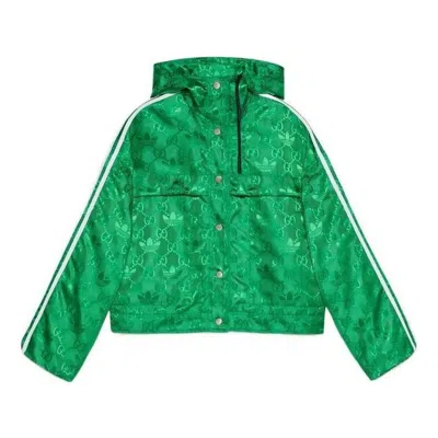 Gucci (wmns)  X Adidas Bomber Jacket 'green'