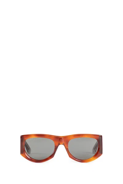 Gucci Woman Brown Eyewear