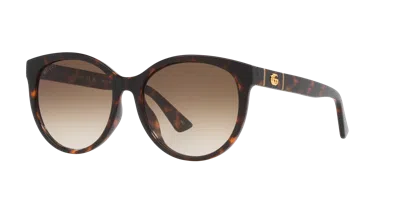 Gucci Woman Sunglass Gg0636sk In Brown