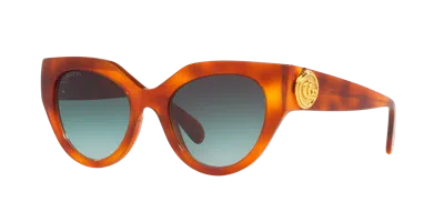 Gucci Gg1408s 004 Butterfly Sunglasses In Havana Havana Green
