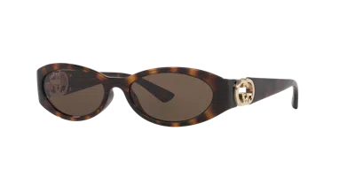 Gucci Woman Sunglass Gg1660s In Tortoise