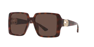 Gucci Woman Sunglasses Gg1692sa In Tortoise