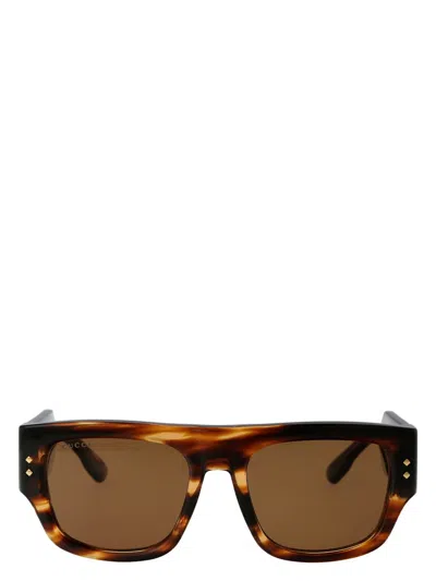 Gucci Women's Acetate Havana Sunglasses In Brown
