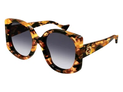 Pre-owned Gucci Women's  Butterfly Sunglasses In Light Cluster/havana (gg1257s 004) In Brown