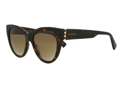 Pre-owned Gucci Women's  Cat Eye Sunglasses002) In Havana Gold/brown (gg0460s/30006463