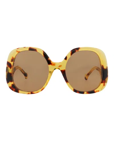 Pre-owned Gucci Women's  Roundframe Acetate Sunglasses In Havana Havana Brown (gg1235s/30013495/002)