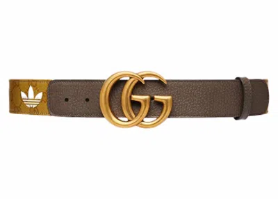 Pre-owned Gucci X Adidas Gg Marmont Belt In Beige/brown