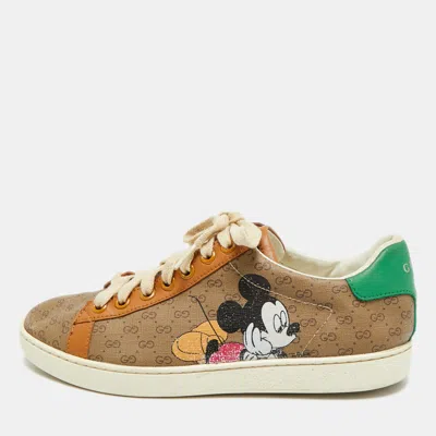 Pre-owned Gucci X Disney Ace Size 37 Brown Coated Canvas And Leather Lace Up Sneakers