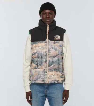 Pre-owned Gucci X North Face  Puffer Vest In All Sizes In Multicolor