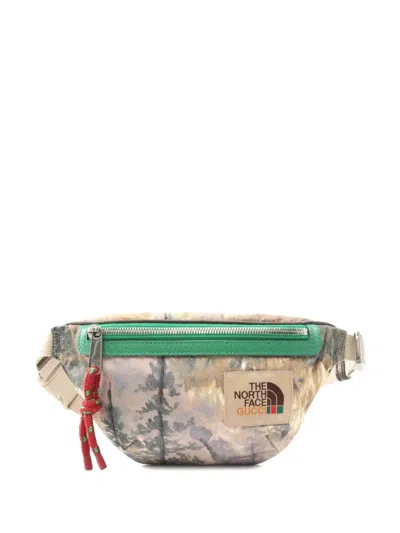 Pre-owned Gucci X The North Face 2010s Belt Bag In Neutral
