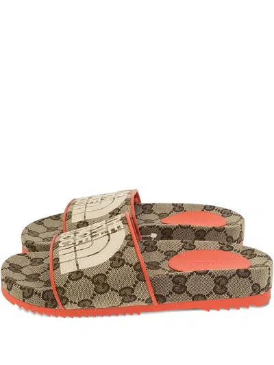 Pre-owned Gucci X The North Face 2010s Interlocking G Logo Sandals In Brown