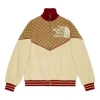 Gucci X The North Face Zip Jacket 'beige Ebony' In Multi