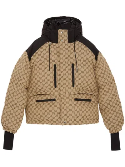 Gucci Gg Canvas Bomber Jacket In Camel/ebony/mix